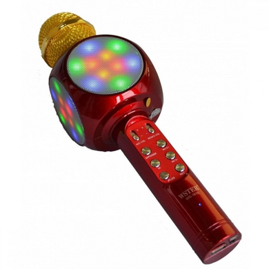 Микрофон караоке DM-1816
