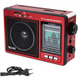 Радиоприёмник Golon RX-006 AM/SW/FM от сети и батареек MP3/WMA USB/microSD